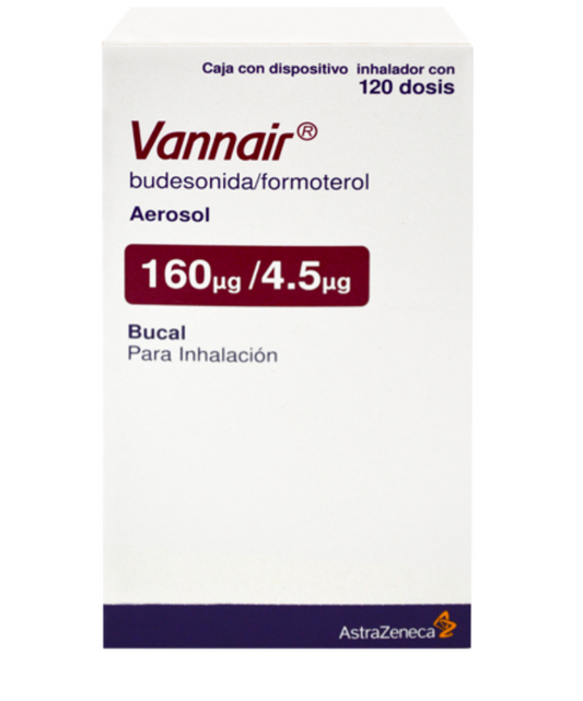 VANNAIR BUDESONIDA/FORMOTEROL 160/4.5MCG AER FCO C/120DOSIS