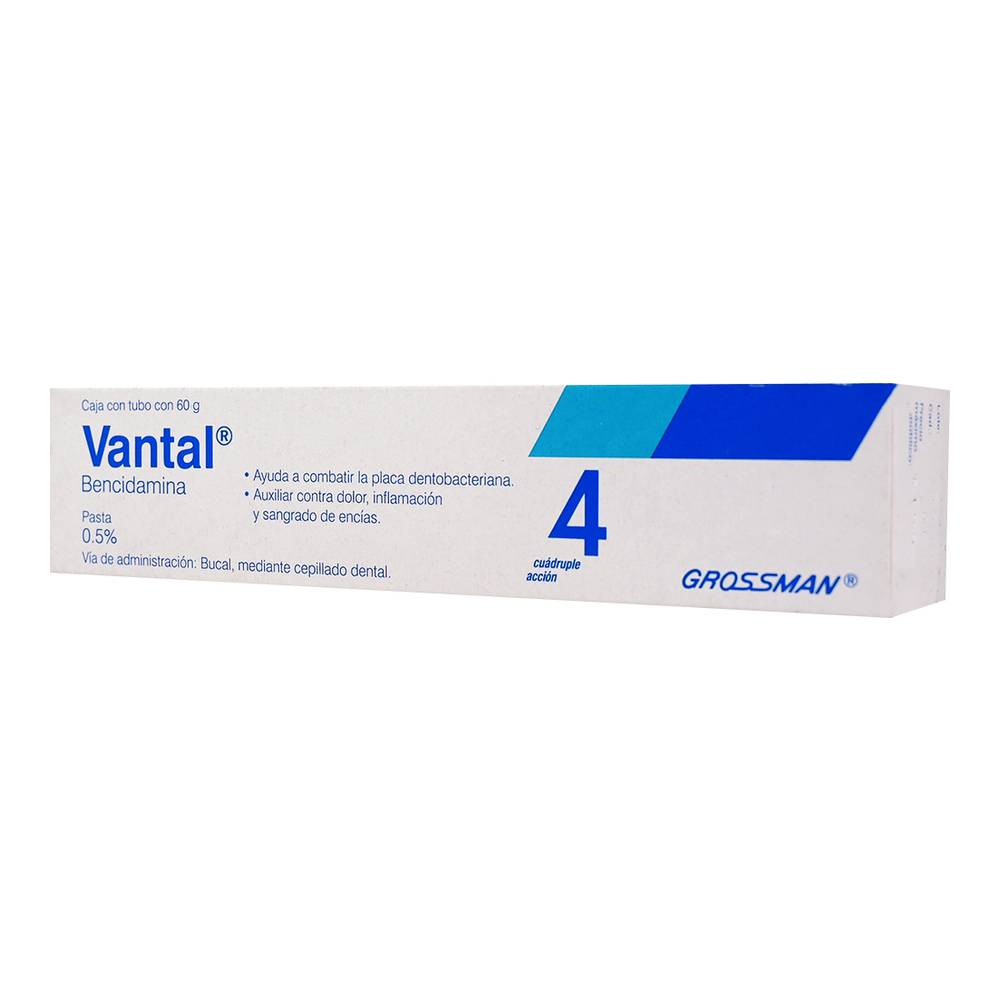 VANTAL PASTA DENTAL  BENCIDAMINA  0.5 %CAJA C/TUBO C/60 G.