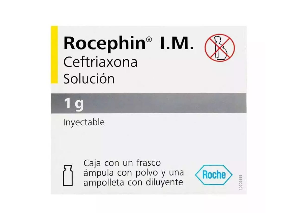 ROCEPHIN IM CEFTRIAXONA 1GR FAM CAJ/1