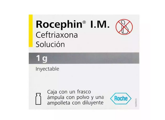ROCEPHIN IM CEFTRIAXONA 1GR FAM CAJ/1