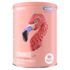Fitmingo Protein Blueberry 510 g